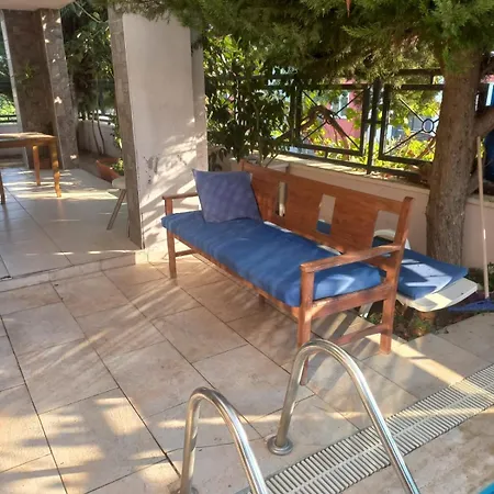 Turgut